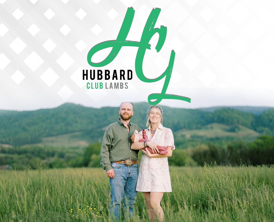 Hubbard Club Lambs